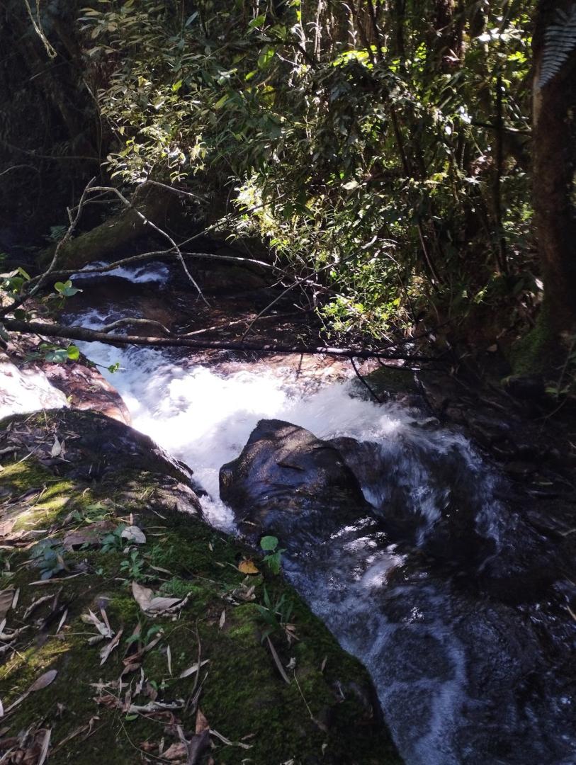 Cachoeira do Pico