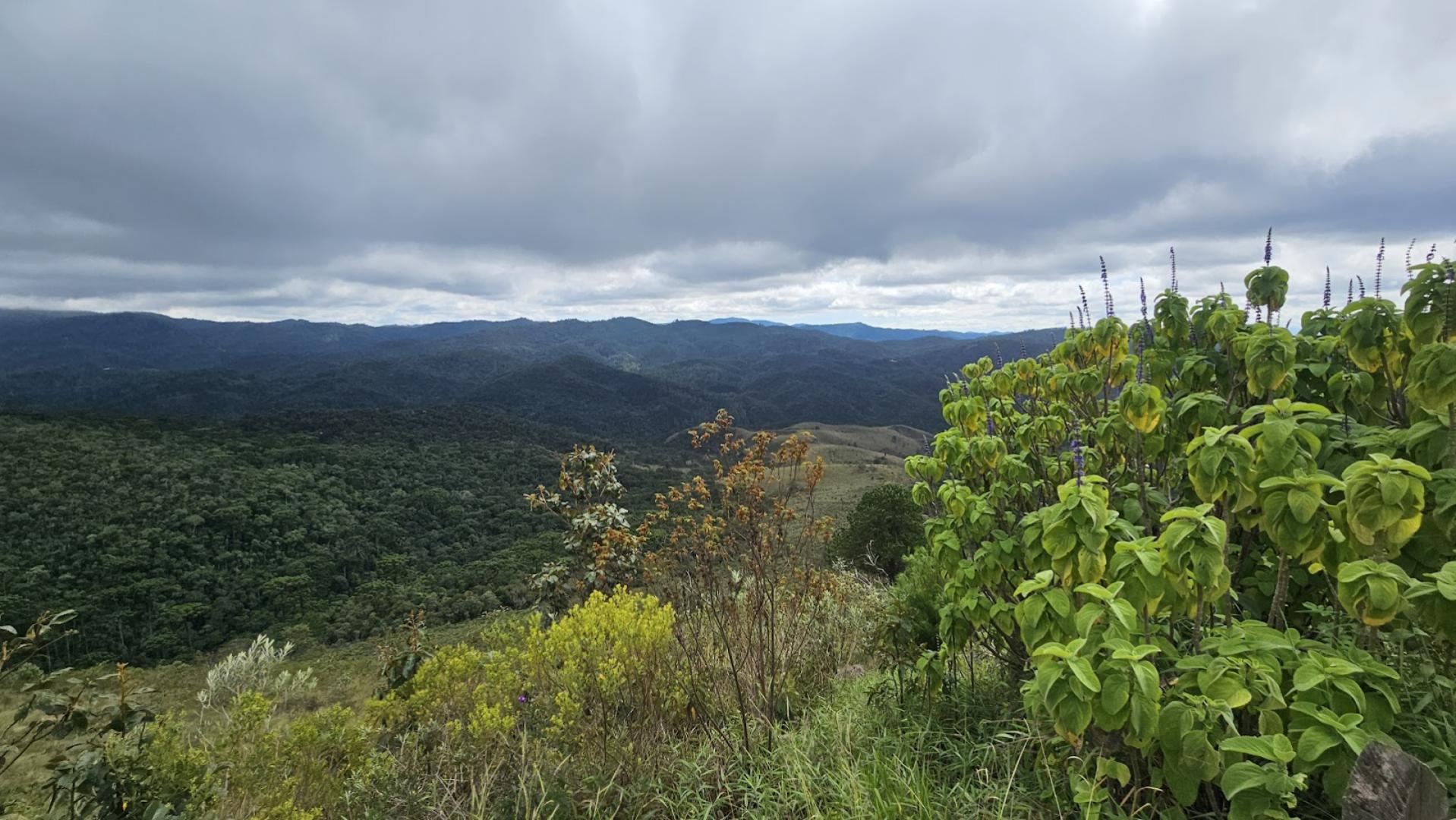 Mirante dos Namorados