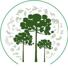 Parque Estadual Campos do Jordão (Horto Florestal)