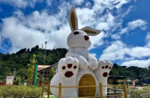 Foto 1 -  Festival Páscoa Encantada 