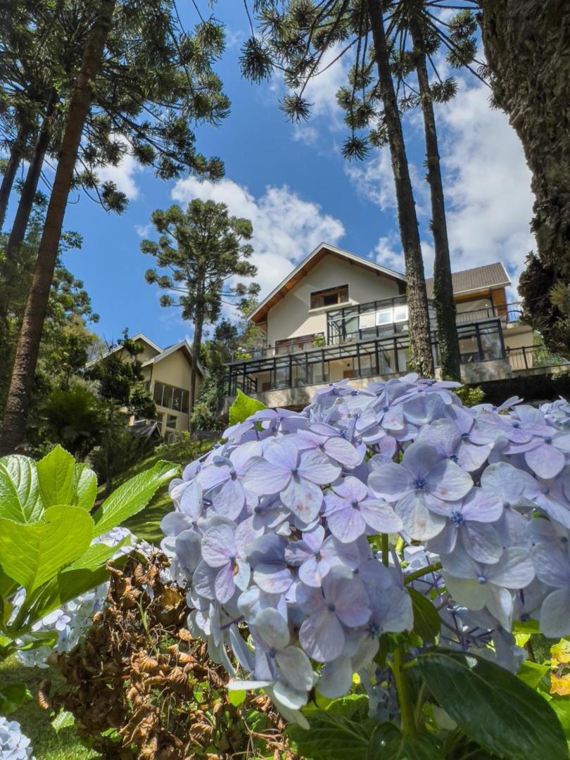 Araucária Lodge