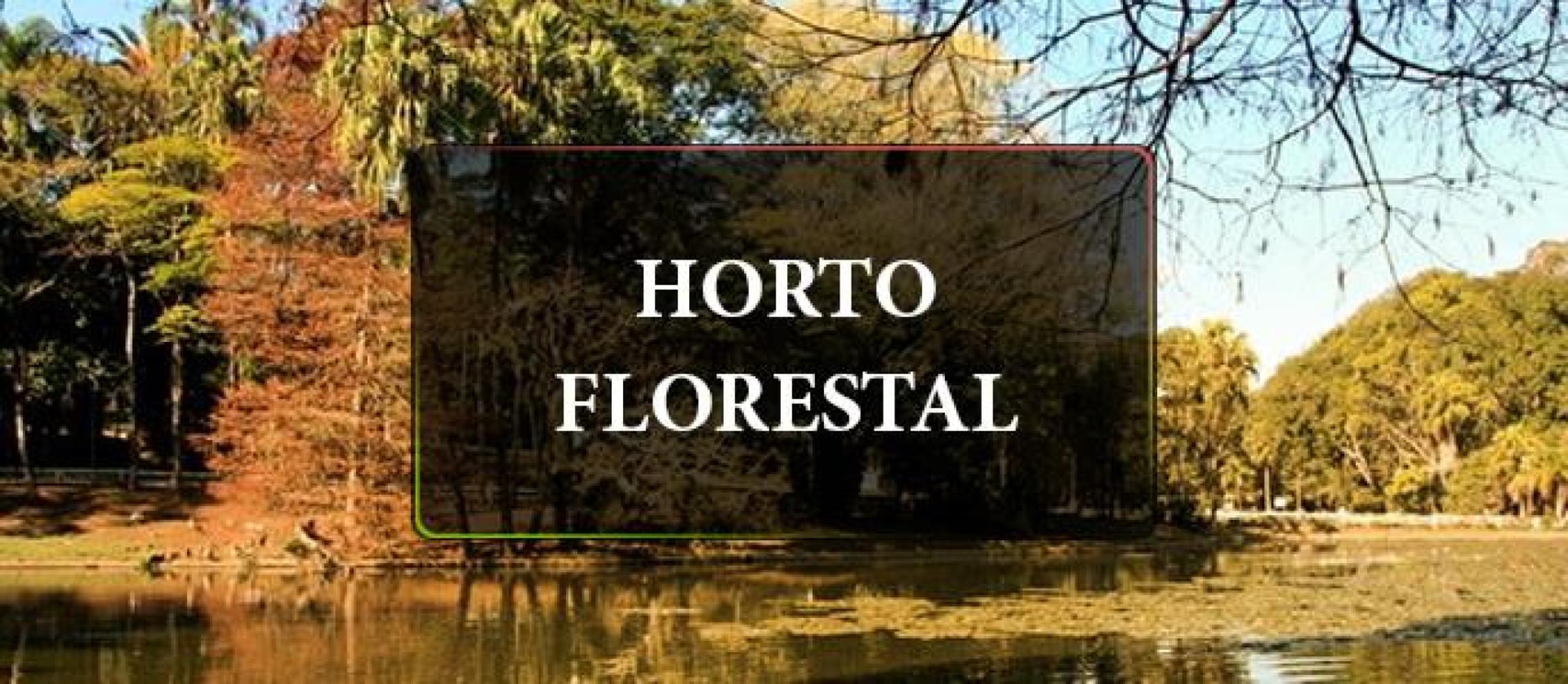 Parque Estadual Campos do Jordão (Horto Florestal)