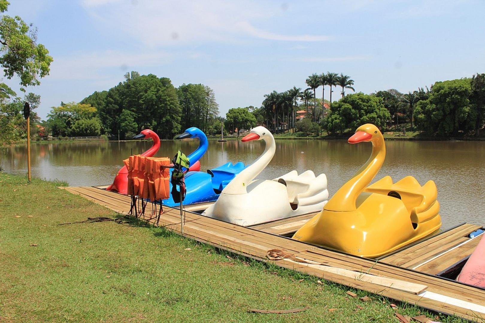 Parque Estadual Campos do Jordão (Horto Florestal)