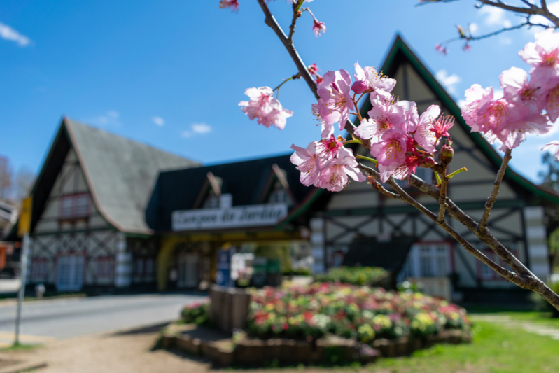 Além do Inverno: Por Que Fevereiro é o Segredo Mais Bem Guardado de Campos do Jordão